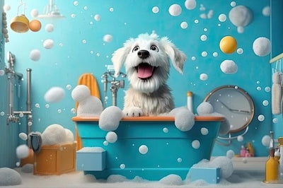 Dishwashing liquid